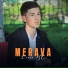 LIVER MC