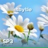 SP3 Project