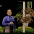 Annes Ginting