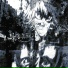 DJ UNIVXRSEL, incasation