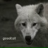 Goodcat