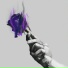 Stract, Shiloh Dynasty