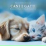 Terapia Gatto