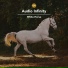 Audio Infinity