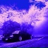 ARSXLXTTY