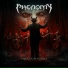 Phenomy