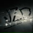 NZD, Tabu Musique
