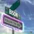 Bison