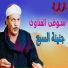 Shawke Elkenawy