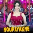 Iva Jeniva feat. Ageng Music