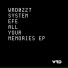 System Efe
