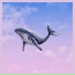 KaizanBlu
