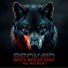 Brokaid