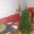 морс вотум
