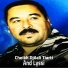 Cheikh Djilali Tiarti