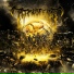 Visceral Decay