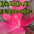 Condro