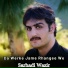 Sarhadi Wazir