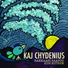 Kaj Chydenius feat. Mikael Saari