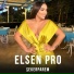 Elsen Pro
