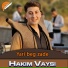 Hakim vaysi