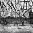 The Whomping Willows