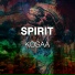 Kosaa