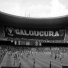 Galoucura União dos Pulgas