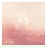 Plurals feat. Laura Klenk