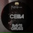 Davis Gruss