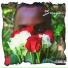 Bossyon feat. Prynce Pusha