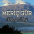 Meriç Gür