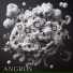 ANGROS