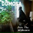 Dumosa