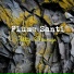 Flume Santi