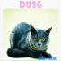 DU2G