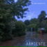 Armiente