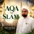 Abbas shakkr