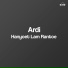 Ardi