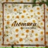БУЛГАКОВ, Nixezz