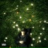 SaintPrince 52