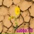 Lubba, tyr1 prod