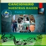 Everangulo