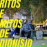 Gil Dionísio