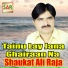 Shaukat Ali Raja