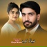Shahenshah Bacha