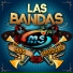 Banda Sinaloense MS de Sergio Lizárraga