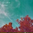 Co Loom
