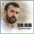 Şenol Bülbül