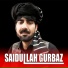Saidullah Gurbaz